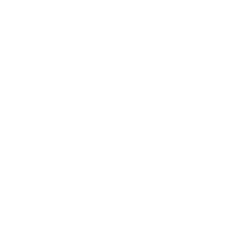 Nexus logo