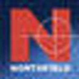 Northfield Information Services logo