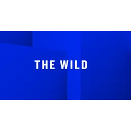 The Wild logo