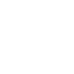 Topaz Video AI logo